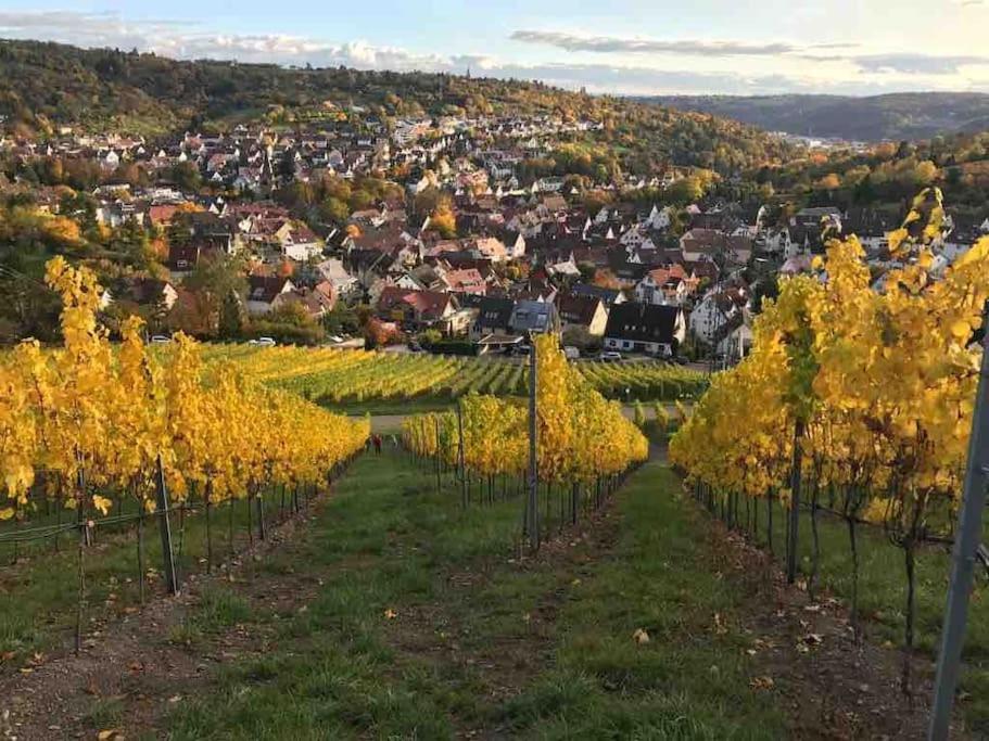 3 Zimmer Neubauwohnung In Der Schwaebischen Toskana Löwenstein المظهر الخارجي الصورة